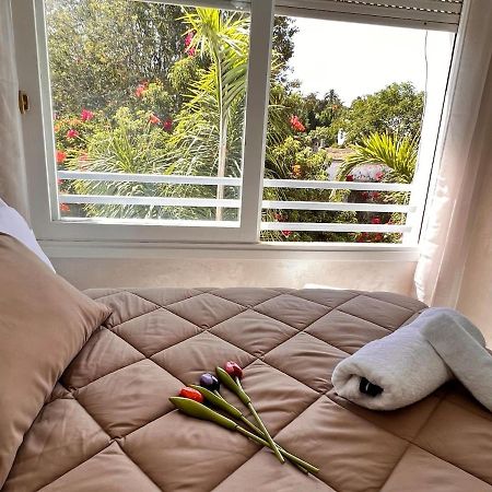 Studio De Charme Renove - Fibre- Centre Рабат Екстериор снимка